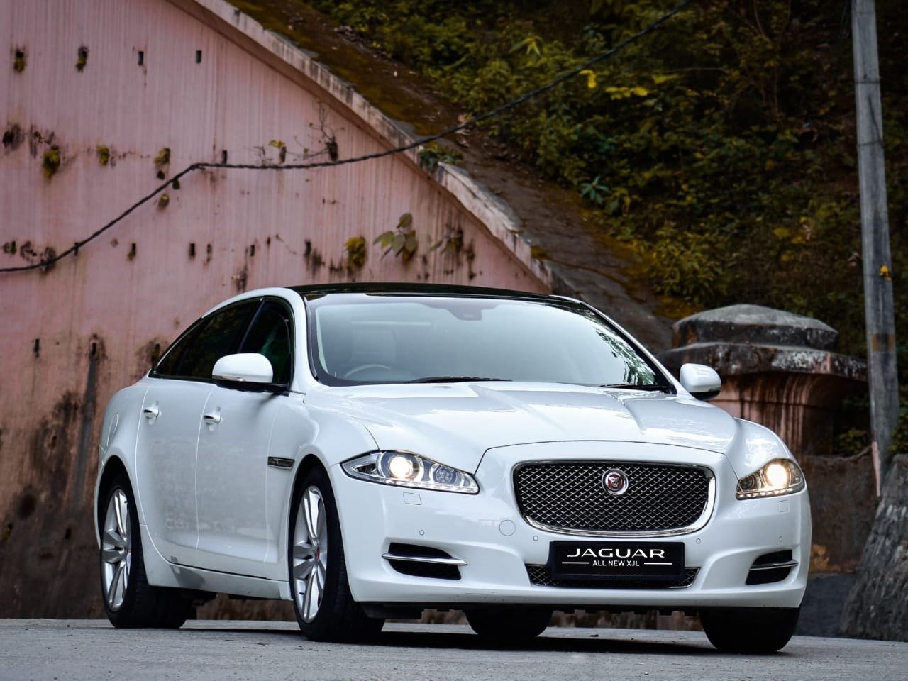 Wedding fleet at a Udaipur venue