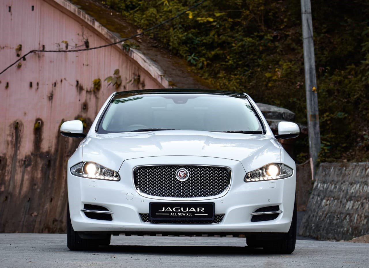 Jaguar, front